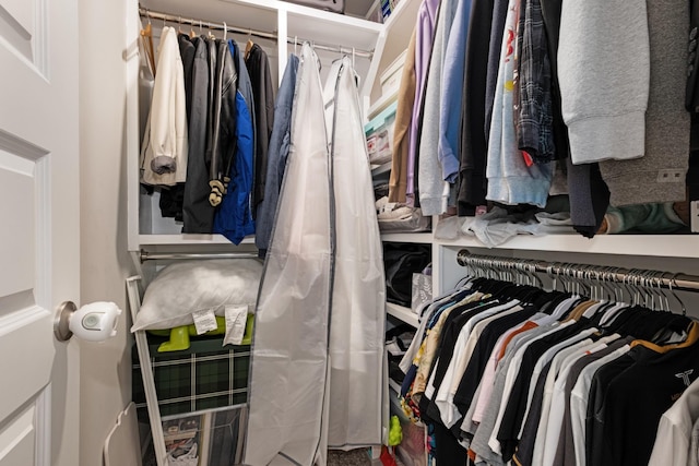 view of spacious closet