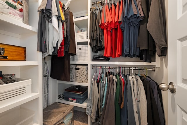 view of spacious closet