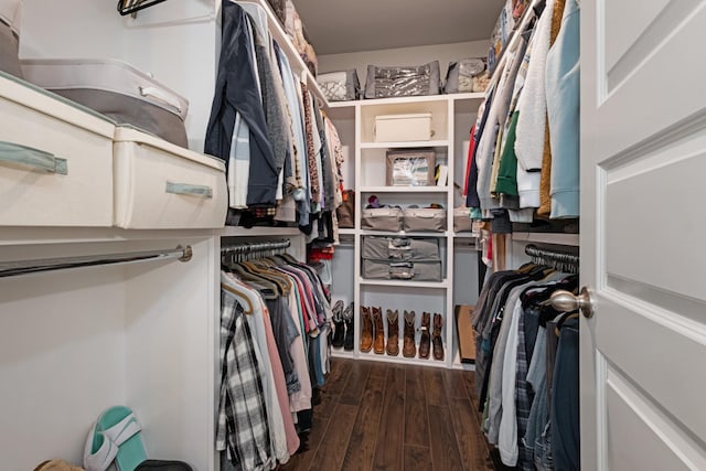 spacious closet featuring dark hardwood / wood-style floors