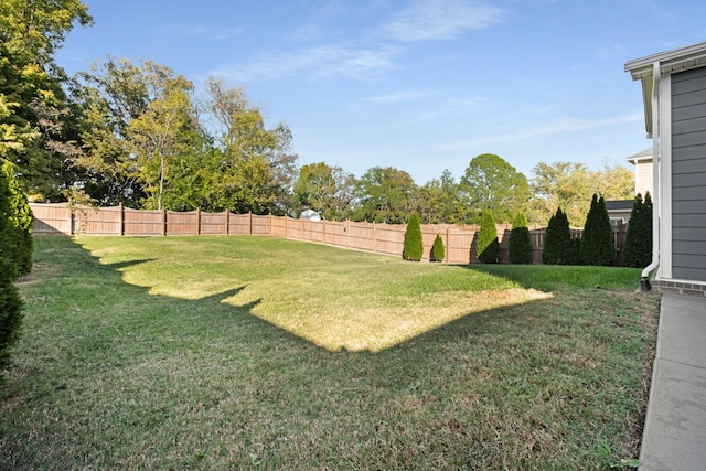 view of yard