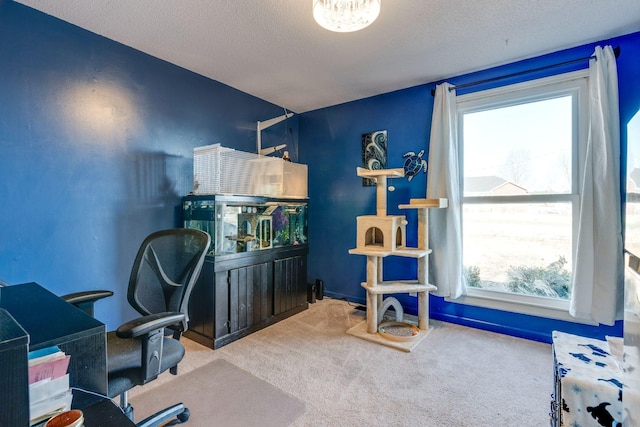 home office with carpet and a textured ceiling