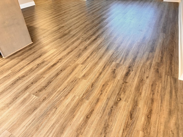 room details with wood-type flooring