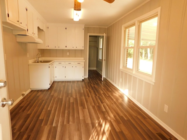 kitchen with ceiling fan, sink, dark wood-type flooring, crown molding, and white cabinets