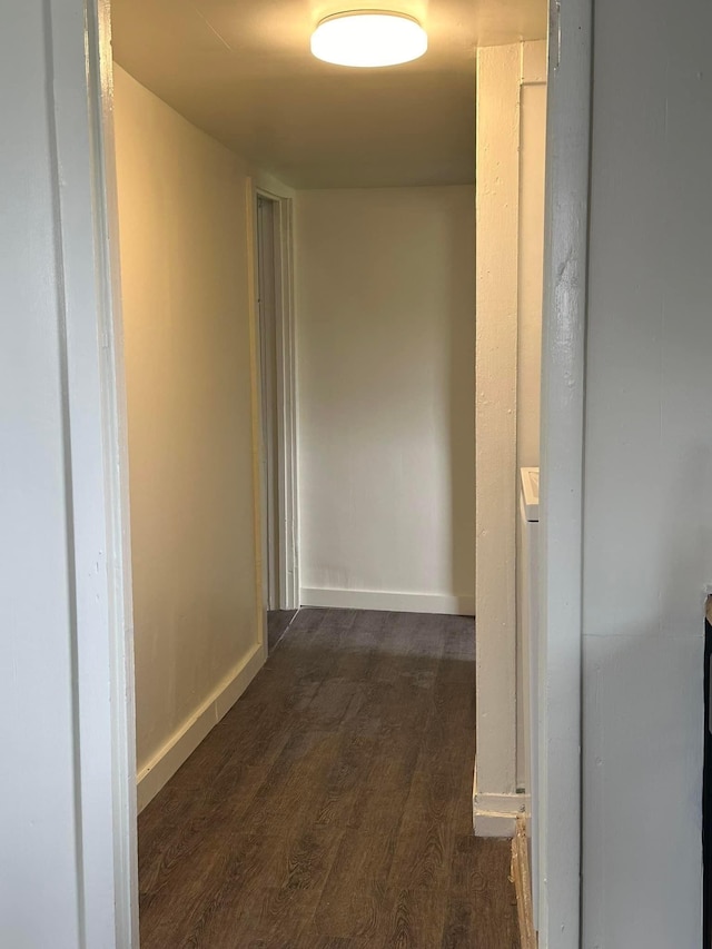 hall featuring dark wood-type flooring