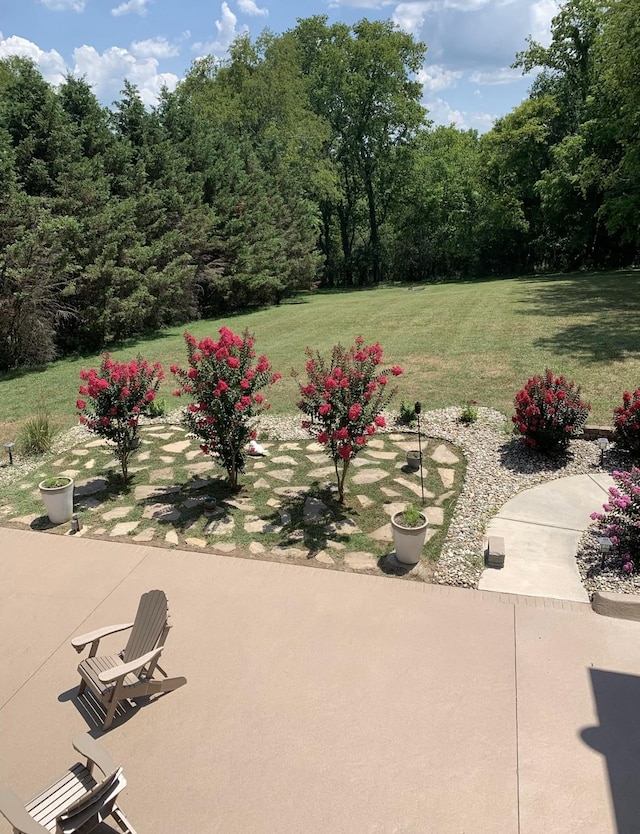 view of yard with a patio area