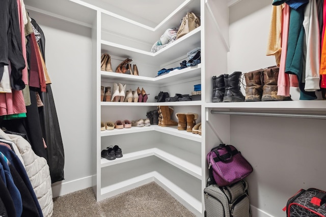 walk in closet featuring carpet floors