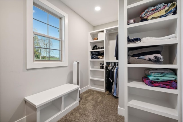 spacious closet with dark colored carpet