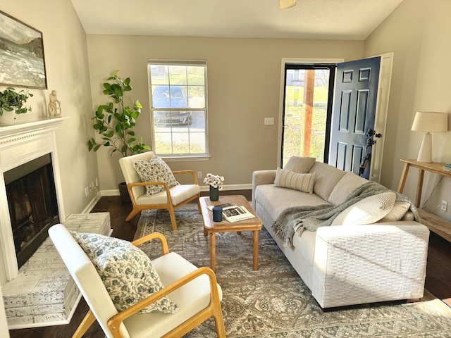 living room with hardwood / wood-style flooring