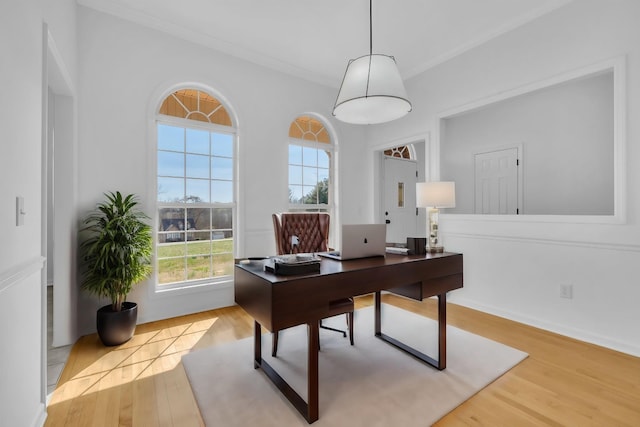 office with ornamental molding and light hardwood / wood-style flooring