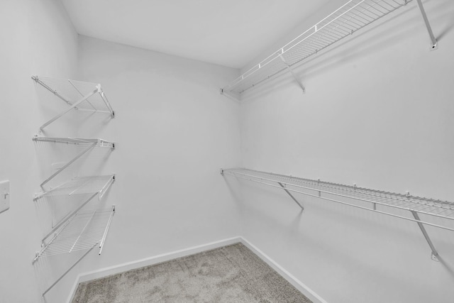 walk in closet featuring carpet flooring