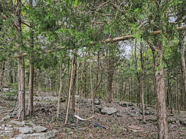 view of landscape