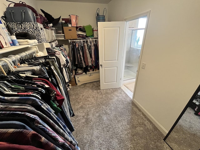 walk in closet featuring carpet