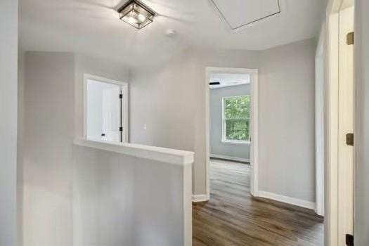 hall featuring dark wood-type flooring