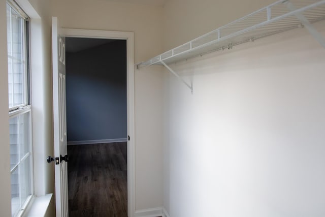 spacious closet featuring dark wood-type flooring