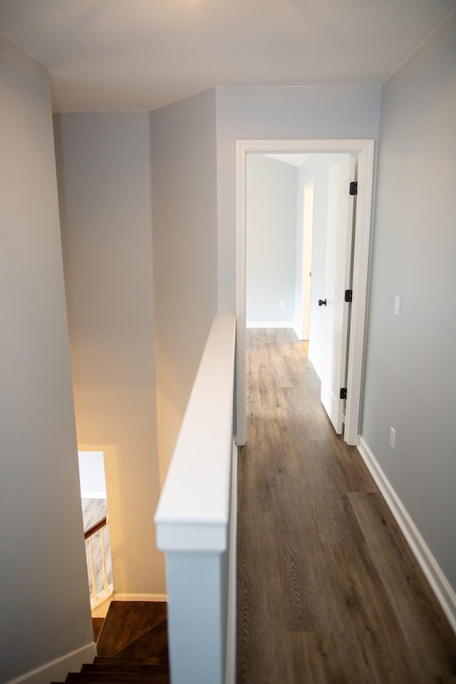 hallway with dark wood-type flooring