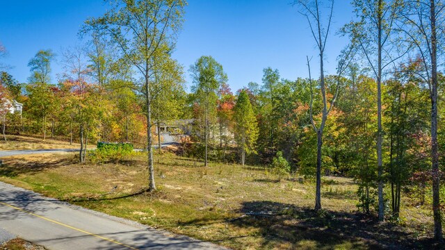 433 Moonlight Ln, Jasper, TN 37347