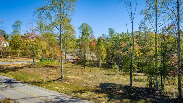 433 Moonlight Ln, Jasper, TN 37347 - photo 42