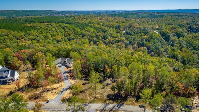 433 Moonlight Ln, Jasper, TN 37347 - photo 36