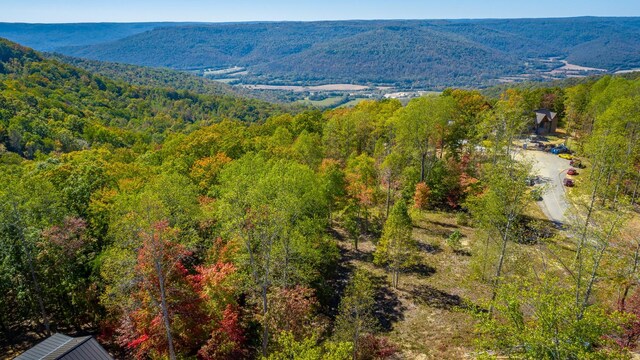 433 Moonlight Ln, Jasper, TN 37347