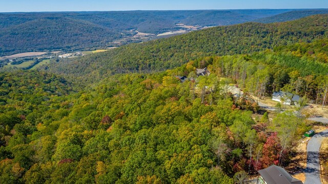433 Moonlight Ln, Jasper, TN 37347