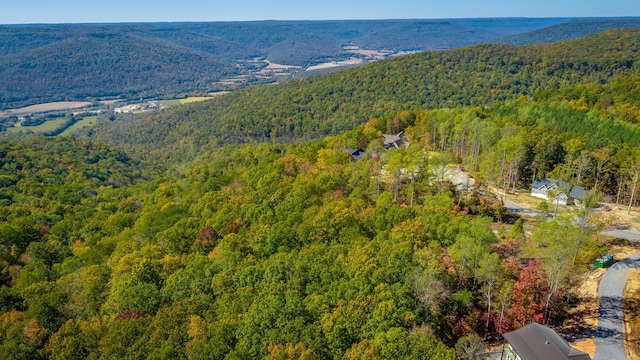 433 Moonlight Ln, Jasper, TN 37347 - photo 14