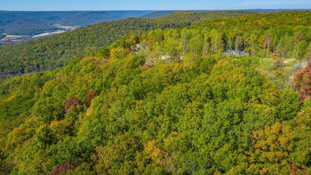 433 Moonlight Ln, Jasper, TN 37347