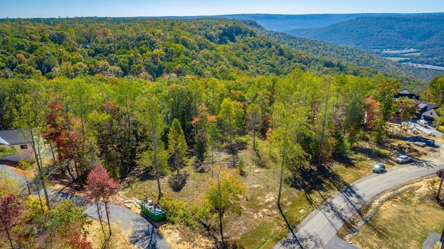 433 Moonlight Ln, Jasper, TN 37347