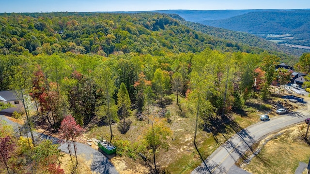 433 Moonlight Ln, Jasper, TN 37347 - photo 26