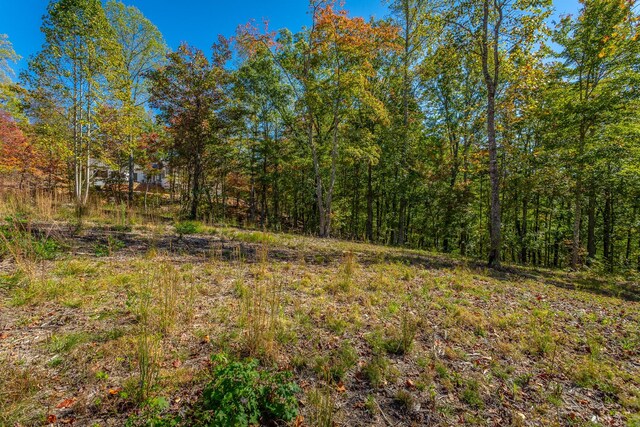 433 Moonlight Ln, Jasper, TN 37347