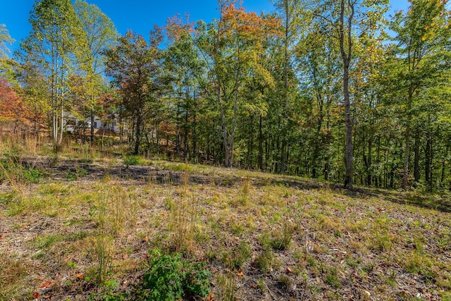 433 Moonlight Ln, Jasper, TN 37347 - photo 45