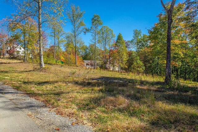 433 Moonlight Ln, Jasper, TN 37347