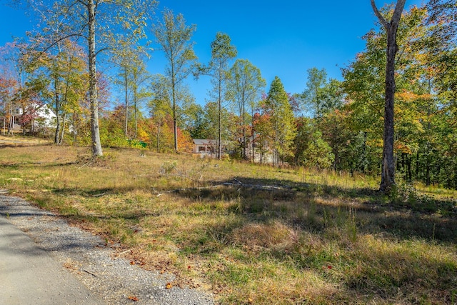 433 Moonlight Ln, Jasper, TN 37347 - photo 52