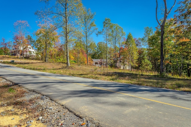 433 Moonlight Ln, Jasper, TN 37347 - photo 51