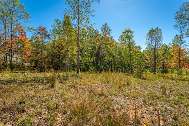 433 Moonlight Ln, Jasper, TN 37347
