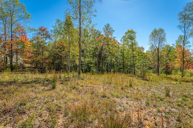 433 Moonlight Ln, Jasper, TN 37347 - photo 39
