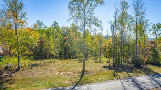 433 Moonlight Ln, Jasper, TN 37347