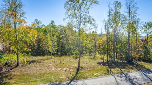 433 Moonlight Ln, Jasper, TN 37347 - photo 46