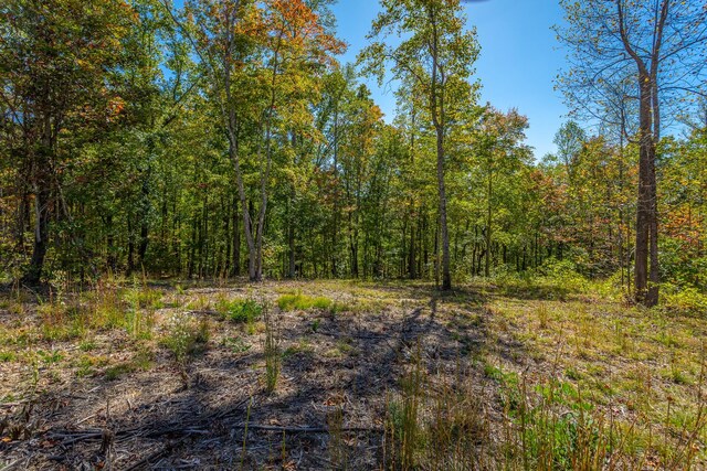 433 Moonlight Ln, Jasper, TN 37347