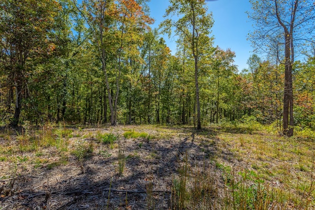 433 Moonlight Ln, Jasper, TN 37347 - photo 44