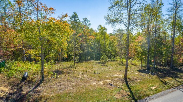 433 Moonlight Ln, Jasper, TN 37347