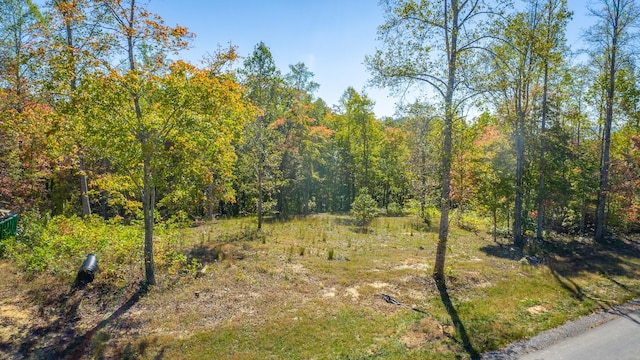 433 Moonlight Ln, Jasper, TN 37347 - photo 49