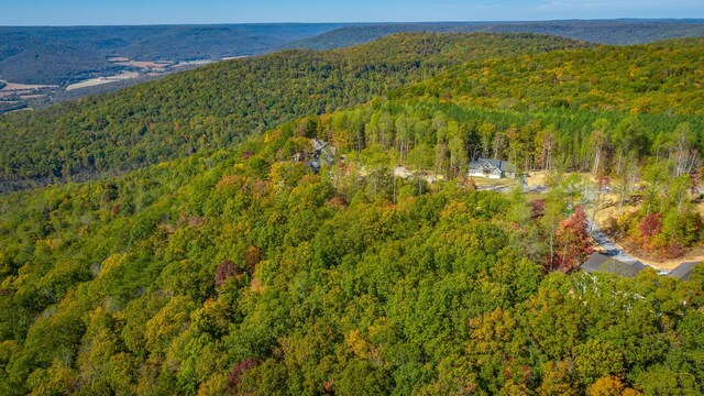 433 Moonlight Ln, Jasper, TN 37347