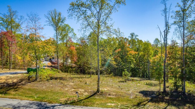 433 Moonlight Ln, Jasper, TN 37347