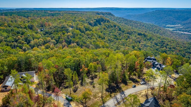 433 Moonlight Ln, Jasper, TN 37347