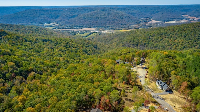 433 Moonlight Ln, Jasper, TN 37347