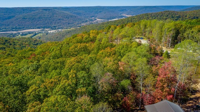433 Moonlight Ln, Jasper, TN 37347