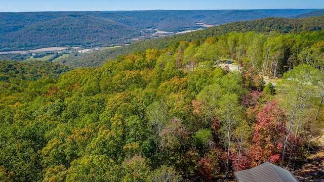 433 Moonlight Ln, Jasper, TN 37347 - photo 29