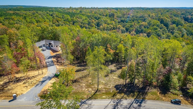 433 Moonlight Ln, Jasper, TN 37347 - photo 50