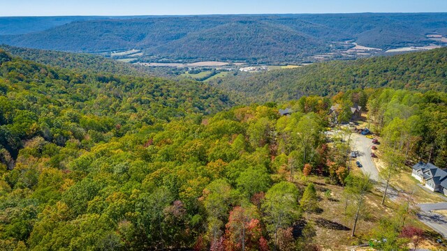 433 Moonlight Ln, Jasper, TN 37347