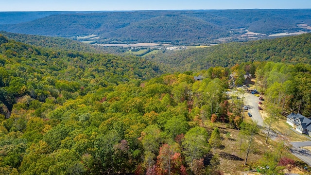 433 Moonlight Ln, Jasper, TN 37347 - photo 13